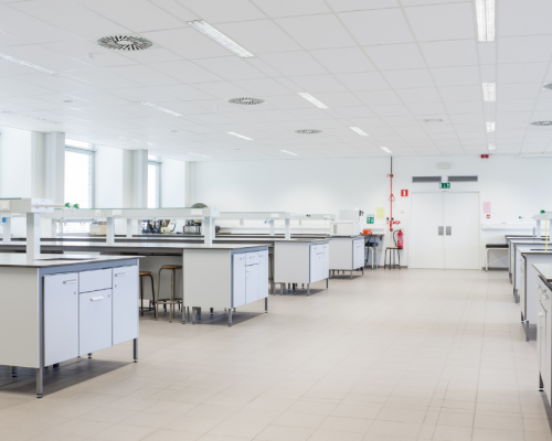 Peptides for research labs — researcher reviewing lot documentation at a laboratory workstation
